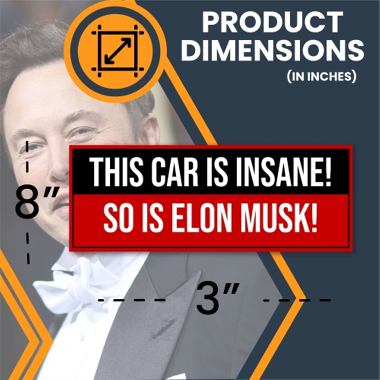Magnet Me Up This Car is Insane So is Elon Musk Magnet, 3x8, 2 Pack