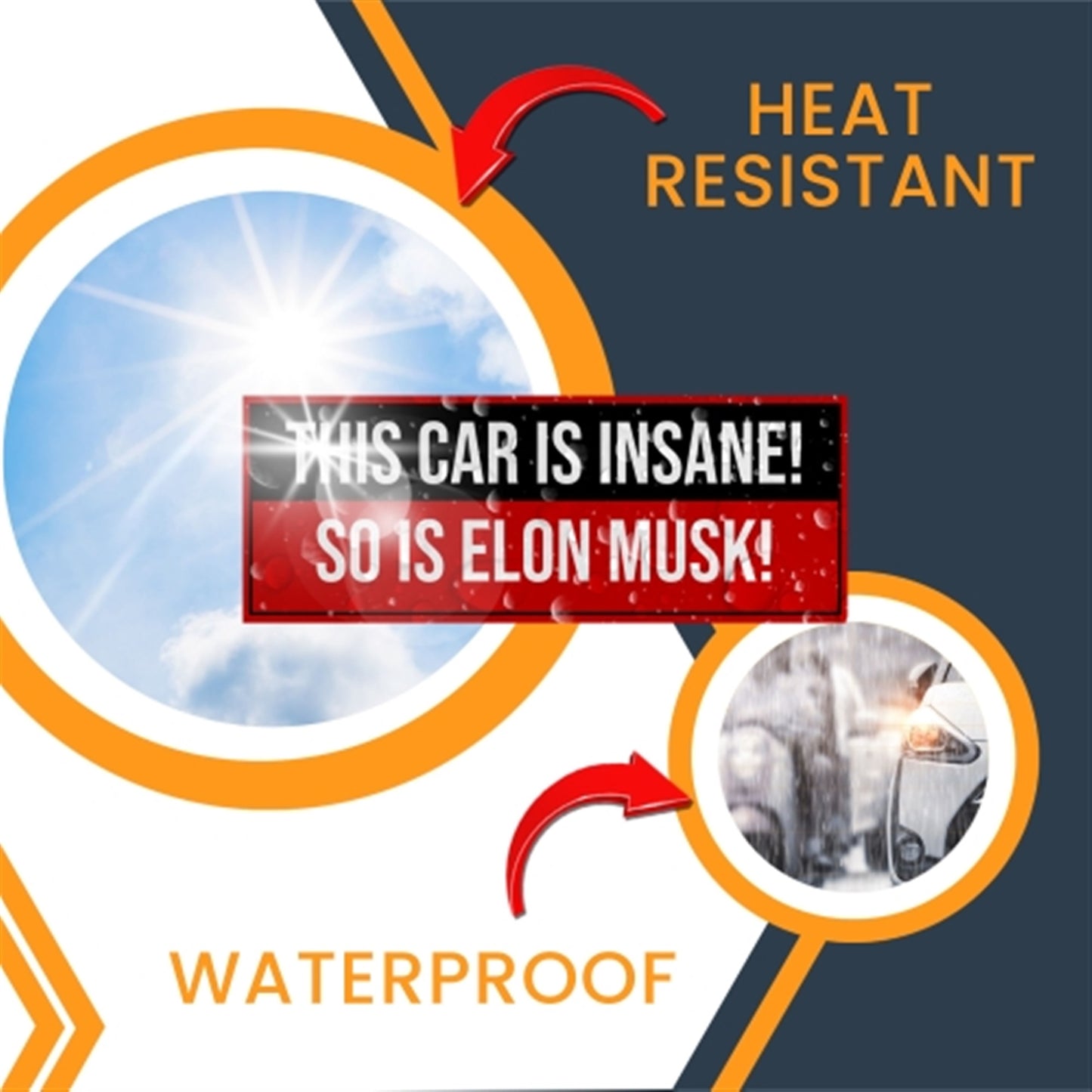 Magnet Me Up This Car is Insane So is Elon Musk Magnet, 3x8, 2 Pack