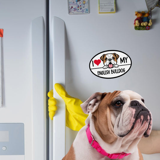 I Love My English Bulldog Dog Breed Car Magnet Decal, 4x6 Inches Oval, Decoration for Vehicle, Fridge, and More! Cute Peeking Dog Bumper Magnet