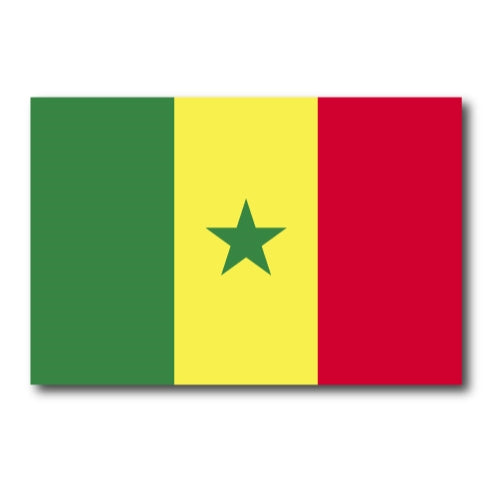 Senegal Senegalese Flag Car Magnet Decal - 4 x 6 Heavy Duty for Car Truck SUV
