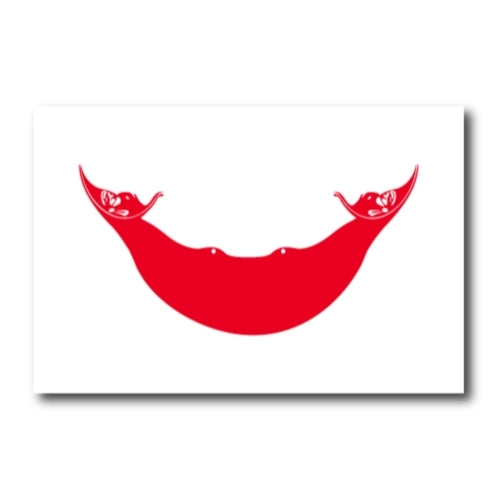 Easter Island Rapa Nui Flag Car Magnet Decal - 4 x 6 Heavy Duty for Car Truck SUV …