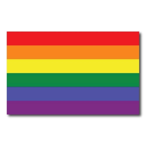 Gay Pride Rainbow Flag Car Magnet Decal - LGBT - 5x8 - Waterproof Lesbian Gay Bisexual Transexual ?