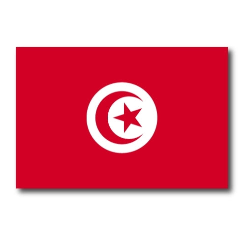 Tunisia Flag Car Magnet Decal - 4 x 6 Heavy Duty for Car Truck SUV …
