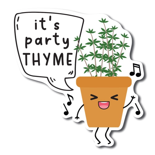 Magnet Me Up It's Party Thyme Cute Funny Plant Succulent Magnet Decal, 5 inches, Heavy Duty Automotive Magnet for Car Truck SUV Or Any Other Magnetic Surface