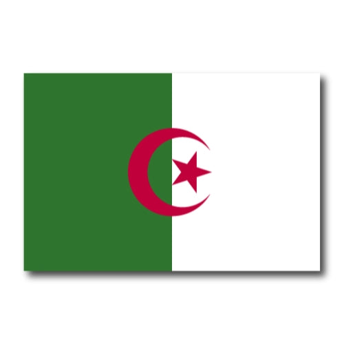 Algeria Flag Car Magnet Decal - 4 x 6 Heavy Duty for Car Truck SUV …
