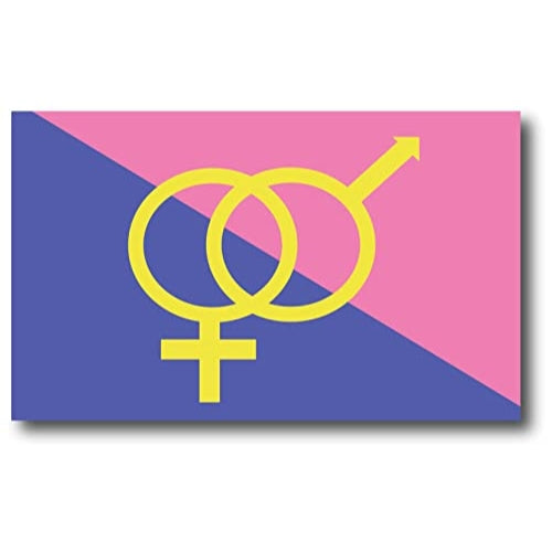 Magnet Me Up Straight Pride Flag Car Magnet Decal, 3x5 Inches, Pink Blue and Yellow, Heavy Duty Automotive Magnet for Car Truck SUV