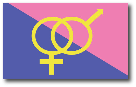 Magnet Me Up Straight Pride Flag Car Magnet Decal, 3x5 Inches, Pink Blue and Yellow, Heavy Duty Automotive Magnet for Car Truck SUV