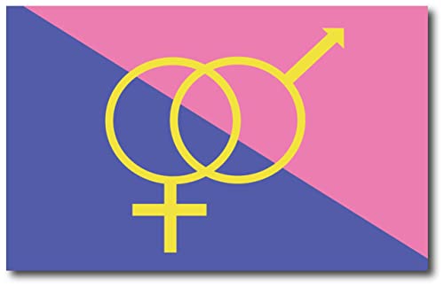 Magnet Me Up Straight Pride Flag Car Magnet Decal, 5x8 Inches, Pink Blue and Yellow, Heavy Duty Automotive Magnet for Car Truck SUV